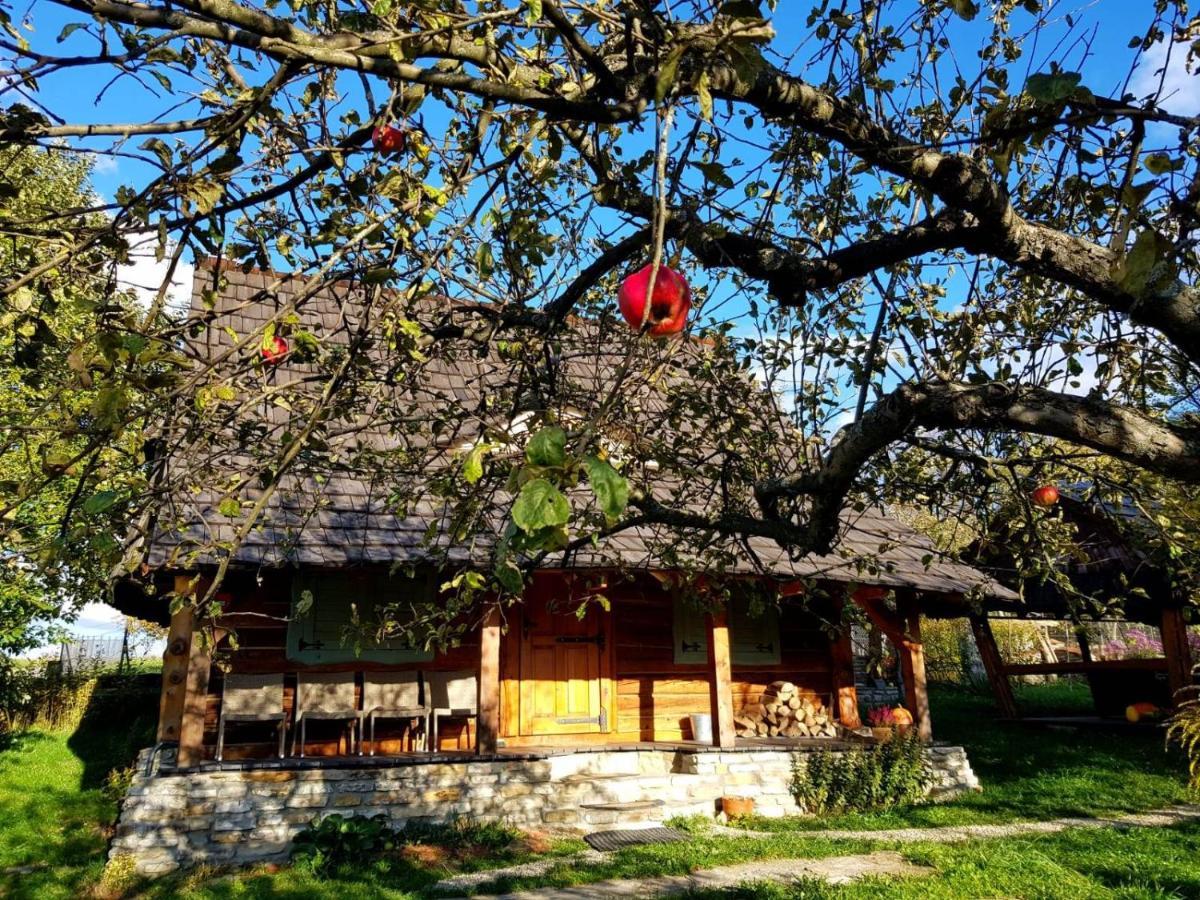 Villa Jabloniowy Sad Kalwaria Paclawska Exterior foto