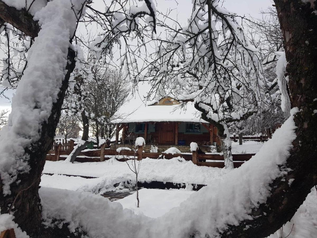 Villa Jabloniowy Sad Kalwaria Paclawska Exterior foto